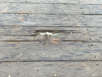 日野レンジャーユニック4段中型（4t）[写真11]