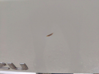 いすゞエルフアルミバン小型（2t・3t）[写真39]