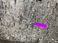 いすゞフォワードセルフクレーン3段中型（4t）[写真27]