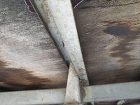 日産アトラス平ボディ小型（2t・3t）[写真13]