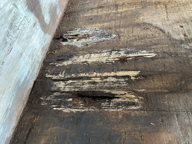 日野プロフィアアルミウイング大型（10t）[写真16]