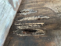 日野プロフィアアルミウイング大型（10t）[写真16]