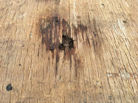 三菱ふそうキャンター平ボディ小型（2t・3t）[写真16]