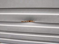 トヨタトヨエースアルミバン小型（2t・3t）[写真06]