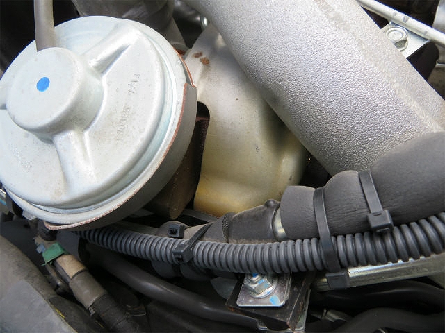 いすゞエルフ冷凍車（冷蔵車）小型（2t・3t）[写真36]