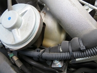 いすゞエルフ冷凍車（冷蔵車）小型（2t・3t）[写真36]