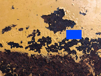 CATユンボ（バックホー）[写真40]