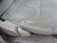 トヨタトヨエース幌ウイング小型（2t・3t）[写真22]