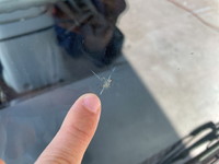 三菱ふそうキャンター平ボディ小型（2t・3t）[写真36]