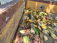 いすゞエルフクレーン4段小型（2t・3t）[写真13]