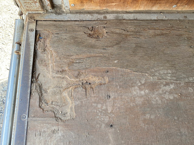 いすゞエルフオープントップバン小型（2t・3t）[写真17]