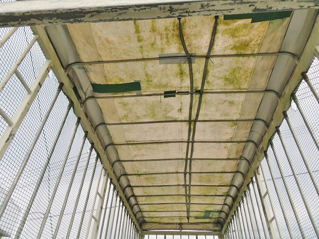 日野レンジャー家畜運搬車増トン（6t・8t）[写真09]