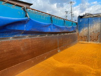 三菱ふそうスーパーグレートダンプ大型（10t）[写真11]