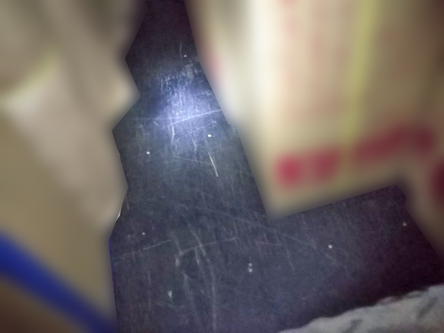 いすゞエルフ幌車小型（2t・3t）[写真09]