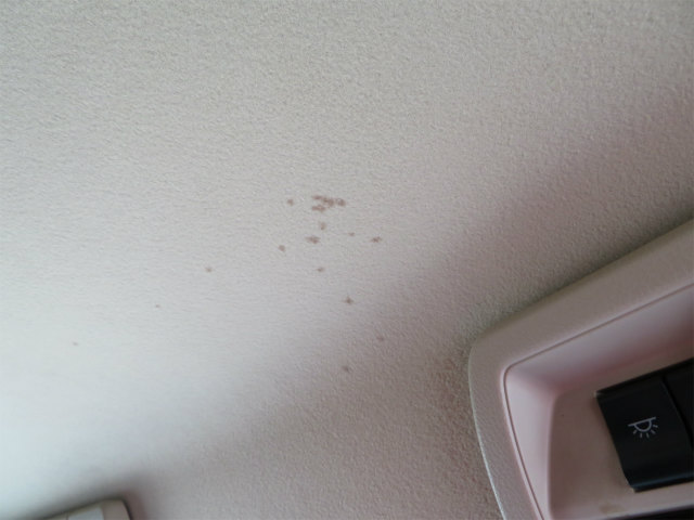 日野レンジャー冷凍車（冷蔵車）中型（4t）[写真09]