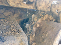 コマツユンボ（バックホー）[写真21]