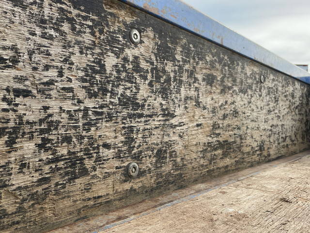 いすゞエルフダブルキャブ（Wキャブ）小型（2t・3t）[写真10]