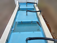 三菱ふそうキャンター活魚運搬車小型（2t・3t）[写真06]