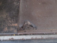 日野レンジャーアルミバン中型（4t）[写真09]