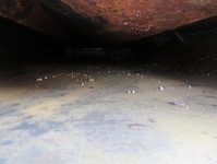 日野デュトロパッカー車（塵芥車）小型（2t・3t）[写真29]