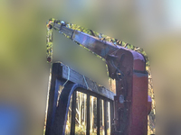 マツダタイタンクレーン4段小型（2t・3t）[写真11]