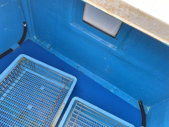 いすゞエルフ活魚運搬車小型（2t・3t）[写真12]