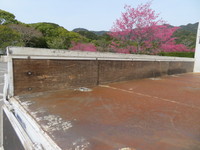 UDトラックスコンドル平ボディ中型（4t）[写真21]