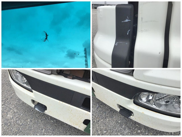 日野プロフィアアルミウイング大型（10t）[写真37]