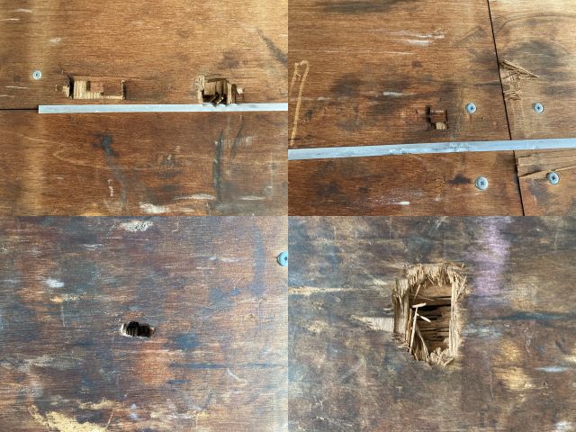 三菱ふそうファイターアルミウイング中型（4t）[写真12]