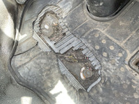 いすゞエルフ冷凍車（冷蔵車）小型（2t・3t）[写真39]