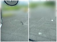 いすゞギガアルミウイング大型（10t）[写真36]