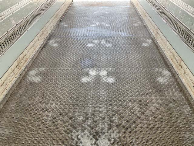 いすゞフォワード冷凍車（冷蔵車）増トン（6t・8t）[写真15]