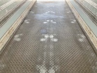 いすゞフォワード冷凍車（冷蔵車）増トン（6t・8t）[写真15]