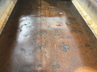 日野プロフィアダンプ大型（10t）[写真08]