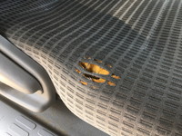 トヨタダイナパネルバン小型（2t・3t）[写真31]