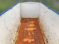 日野プロフィアコンテナ専用車大型（10t）[写真31]