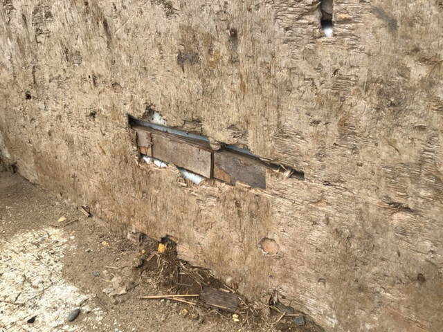 いすゞエルフダンプ小型（2t・3t）[写真05]