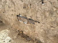 いすゞエルフダンプ小型（2t・3t）[写真05]