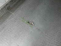 三菱ふそうキャンター冷凍車（冷蔵車）小型（2t・3t）[写真18]