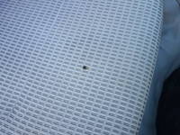 トヨタダイナ幌ウイング小型（2t・3t）[写真28]