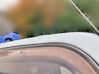 いすゞエルフクレーン4段小型（2t・3t）[写真37]