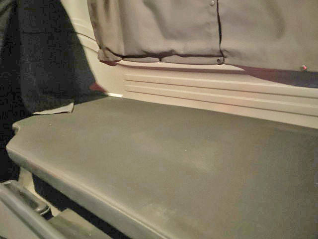 いすゞギガミキサー車（コンクリートミキサー）大型（10t）[写真29]