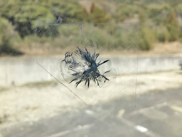 いすゞエルフ冷凍車（冷蔵車）小型（2t・3t）[写真39]