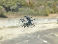 いすゞエルフ冷凍車（冷蔵車）小型（2t・3t）[写真39]