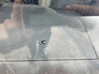 日野レンジャーアルミウイング増トン（6t・8t）[写真38]