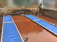 三菱ふそうキャンターダンプ小型（2t・3t）[写真10]