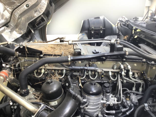 三菱ふそうスーパーグレートダンプ大型（10t）[写真22]