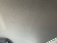 日産アトラスダブルキャブ（Wキャブ）小型（2t・3t）[写真21]