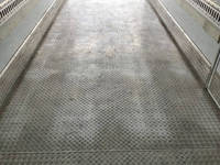 三菱ふそうファイター冷凍車（冷蔵車）中型（4t）[写真15]