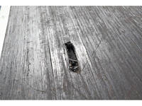 いすゞエルフ平ボディ小型（2t・3t）[写真20]